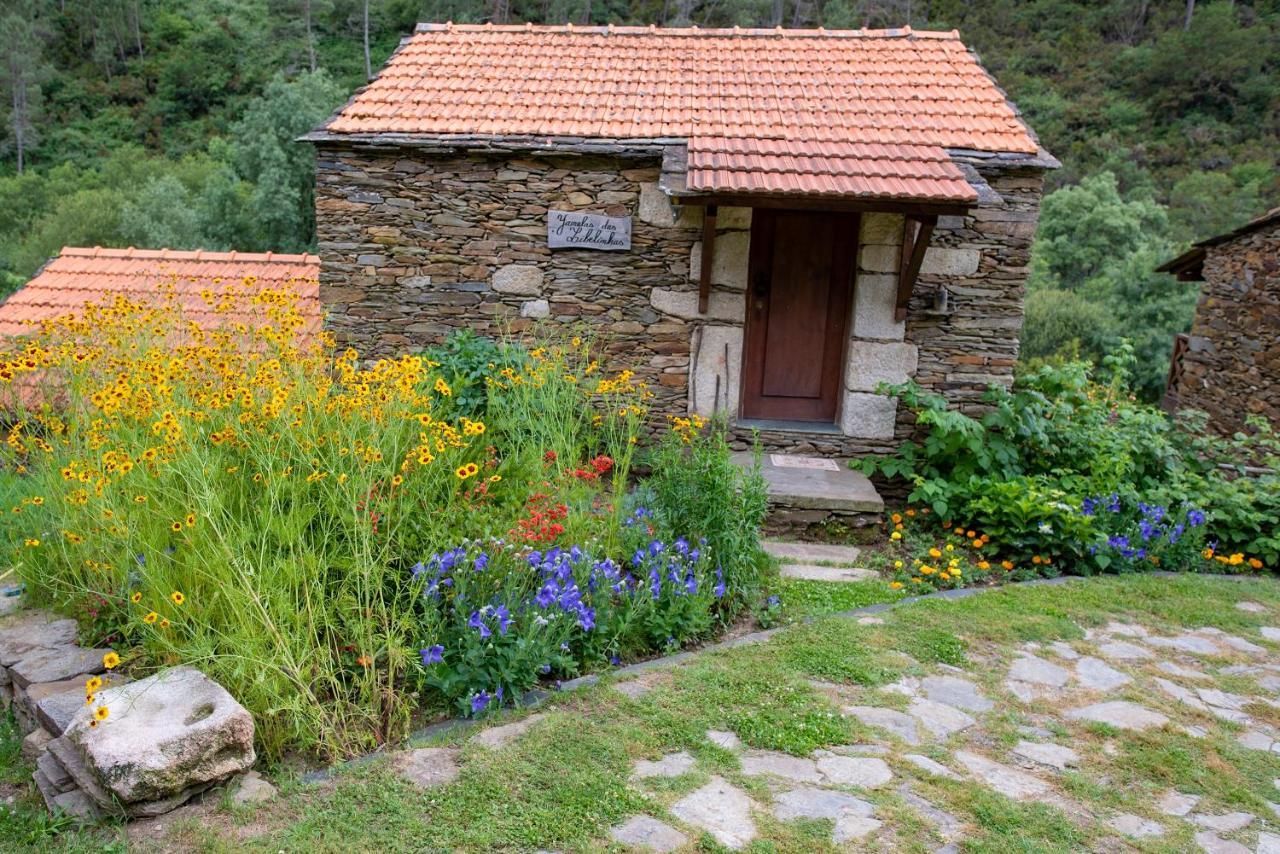 Quinta Da Rabacosa - Turismo Rural Castro Daire Exterior photo